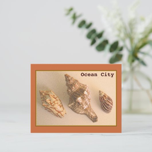 Ocean City Shells Briefkaart (Staand voorkant)