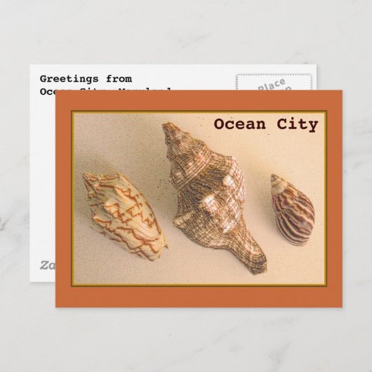 Ocean City Shells Briefkaart (Voorkant / Achterkant)