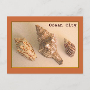 Ocean City Shells Briefkaart