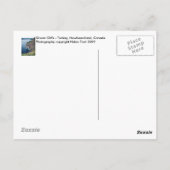 Ocean Cliffs - Newfoundland, Canada Briefkaart (Achterkant)