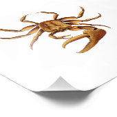 Ocean Crab Zee Beach Nautical Bathroom Print Foto Afdruk (Hoek)
