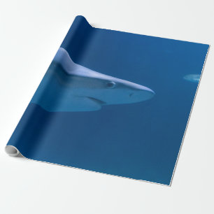 Ocean Creatures Cadeaupapier