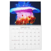 Ocean Creatures Calendar Kalender (Feb 2027)