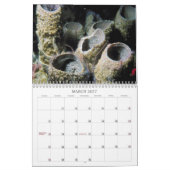 Ocean Creatures Calendar Kalender (Mar 2027)