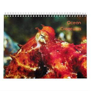 Ocean Creatures Calendar Kalender
