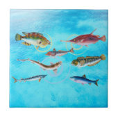 Ocean Delight Tegeltje (Voorkant)