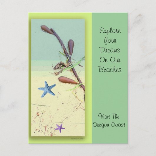 Ocean Dreams Briefkaart (Voorkant)