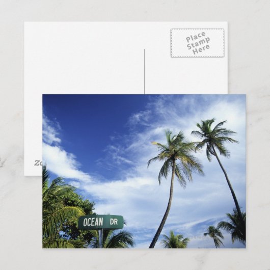 Ocean Drive' wegteken, South Beach, Miami, Florid Briefkaart (Voorkant / Achterkant)