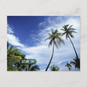 Ocean Drive' wegteken, South Beach, Miami, Florid Briefkaart