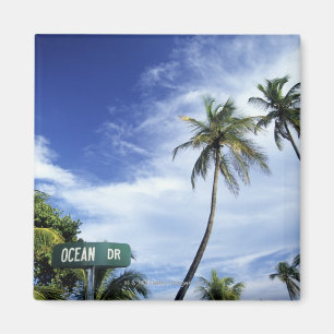 Ocean Drive' wegteken, South Beach, Miami, Florid Magneet