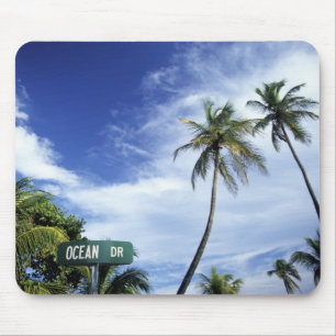 Ocean Drive' wegteken, South Beach, Miami, Florid Muismat