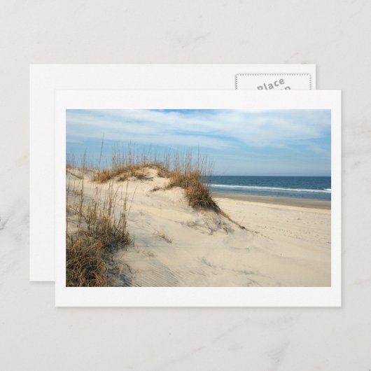 Ocean Dunes Briefkaart (Voorkant / Achterkant)