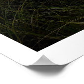 Ocean Dunes Poster (Hoek)