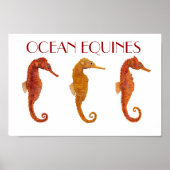 Ocean Equines Poster (Voorkant)