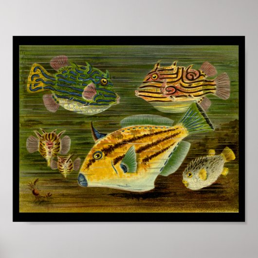 Ocean Fish Yellow Green Blue Art Print (Voorkant)