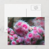 Ocean Flora Briefkaart (Voorkant / Achterkant)