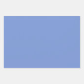 Ocean Gingham Inpakpapier Vel (Voorkant 2)