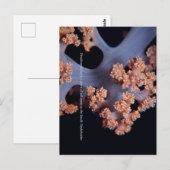 Ocean Herinnering / Zachte Koraal #001 Briefkaart (Voorkant / Achterkant)