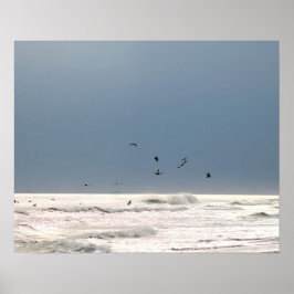 Ocean Horizon met bruine Pelicans Kleur 16x20 Poster