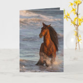 Ocean Horse bij Sunset Horse Wenskaart Kaart (Gele Bloem)