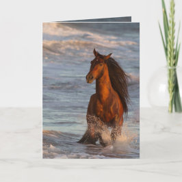 Ocean Horse bij Sunset Horse Wenskaart Kaart