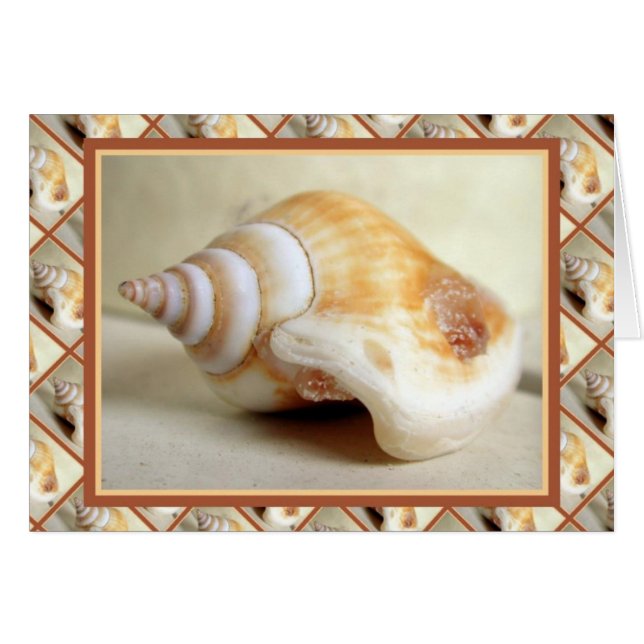 Ocean Jewelry (Voorkant Horizontaal)