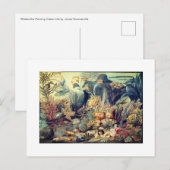 OCEAN LIFE  BRIEFKAART (Voorkant / Achterkant)