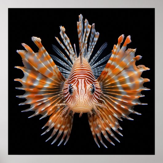 Ocean Life Poster (Voorkant)