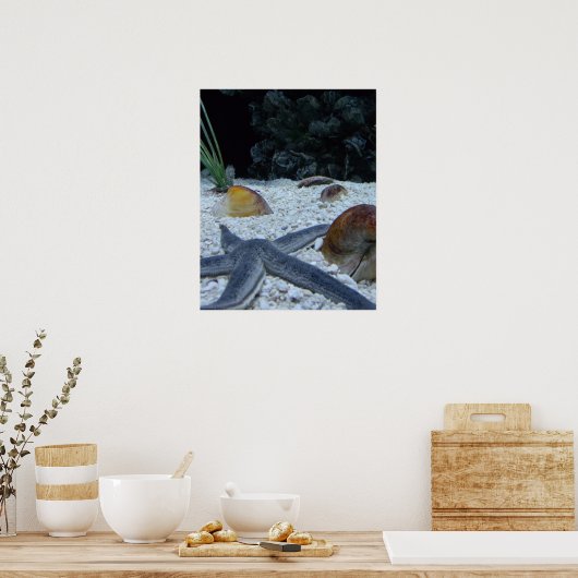 Ocean Life Poster (Keuken)