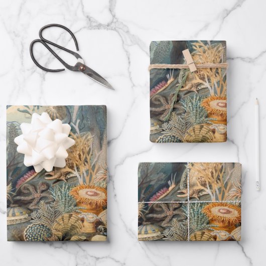 Ocean Life  schilderen met zeeen Inpakpapier Vel (Voorkant)