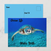 Ocean Life Water Turtle Briefkaart (Voorkant / Achterkant)
