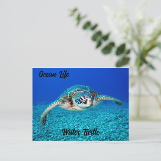 Ocean Life Water Turtle Briefkaart (Staand voorkant)