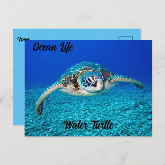 Ocean Life Water Turtle Briefkaart (Voorkant / Achterkant)