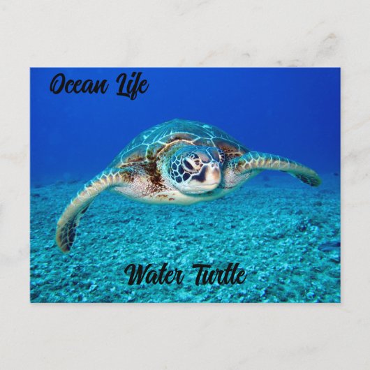Ocean Life Water Turtle Briefkaart (Voorkant)