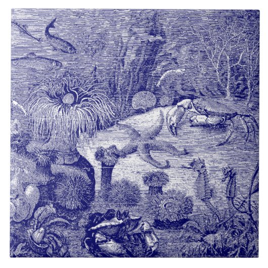Ocean Marine Life Blauw & Wit Tegeltje (Voorkant)