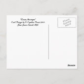 Ocean Meringue. Briefkaart (Achterkant)