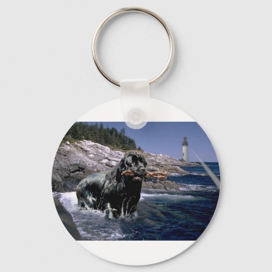 Ocean Newf Sleutelhanger (Voorkant)