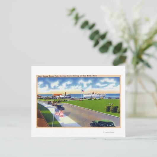 Ocean Park Uitzicht van Boats die aankomen in Harb Briefkaart (Staand voorkant)