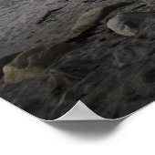 Ocean, Sand, and Fog fine art print (Hoek)