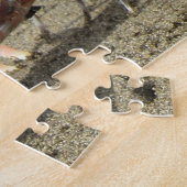 Ocean Sand Crab Legpuzzel (Zijkant)
