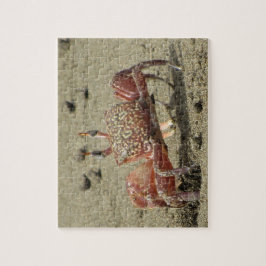 Ocean Sand Crab Legpuzzel