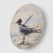 Ocean Sand Seagull Bird Beach Foto Grote Klok (Hoek)