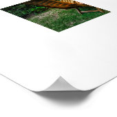 Ocean Scene Poster (Hoek)