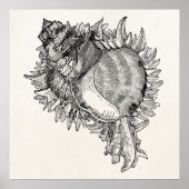  Ocean Seashell Shell Persoonlijke Sjabloon Poster (Voorkant)