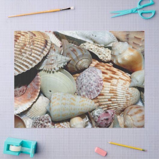 Ocean Seashells deduplicatiedocument Tissuepapier (Craft)