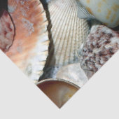 Ocean Seashells deduplicatiedocument Tissuepapier (Detail)