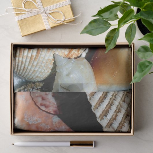 Ocean Seashells deduplicatiedocument Tissuepapier (Geschenk)