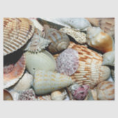 Ocean Seashells deduplicatiedocument Tissuepapier (Voorkant)