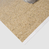 Ocean Shore Seashell-deportpapier Tissuepapier (Detail)