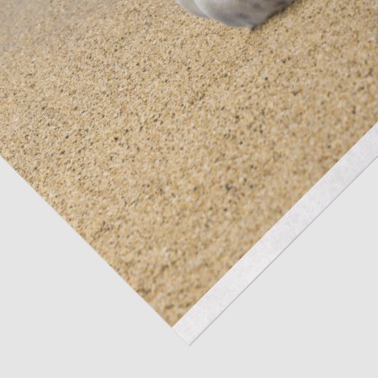 Ocean Shore Seashell-deportpapier Tissuepapier (Detail)